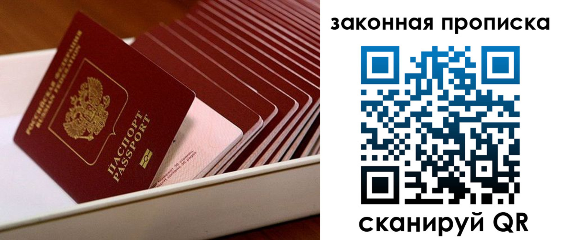 прописка законно в Мичуринске